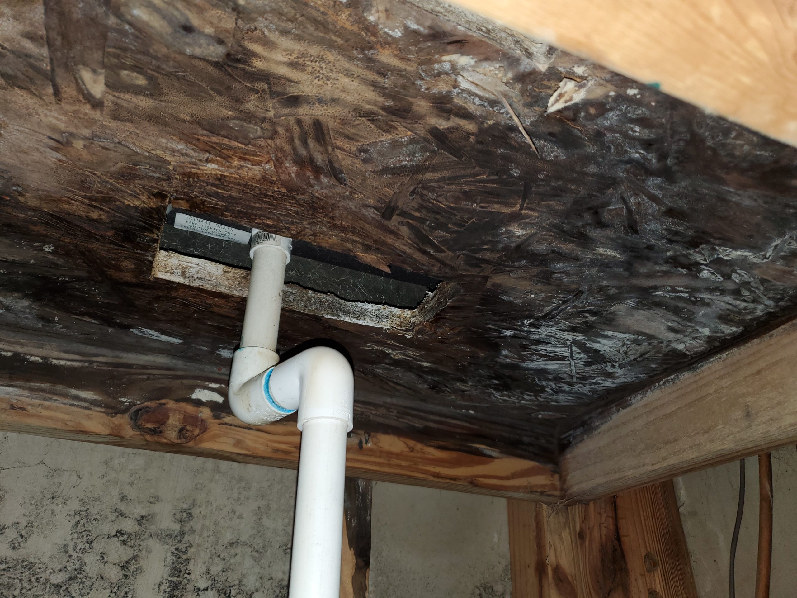 Photo taken by mold assessor in Florida of mold growth below ac unit