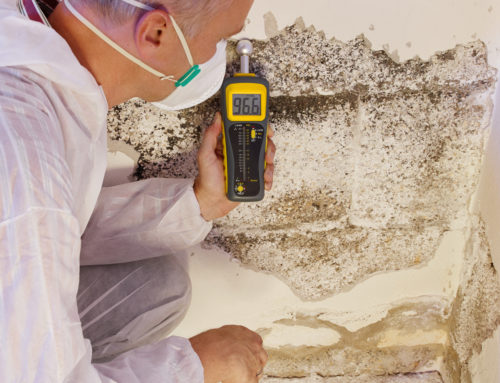 Mold Assessments and Protocols