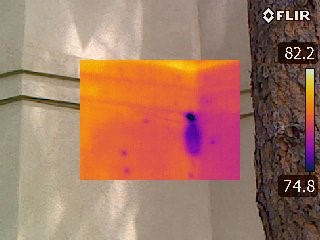 Infrared Inspections Thermal Scan - Moisture Intrusion