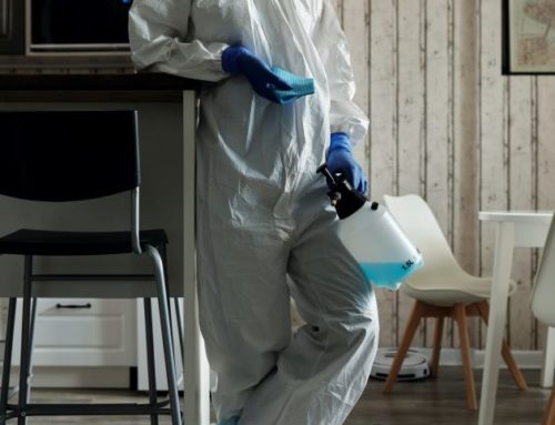 Mold Assessment or Mold Remediation?